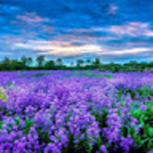 Meet your Posher, Rc - 07la -